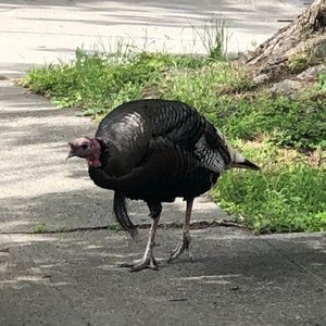 Meet your Posher, Blaine